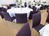Purple Banqueting Chair Hire