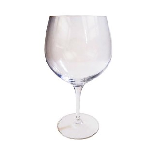 Riedel Gin & Tonic Glass