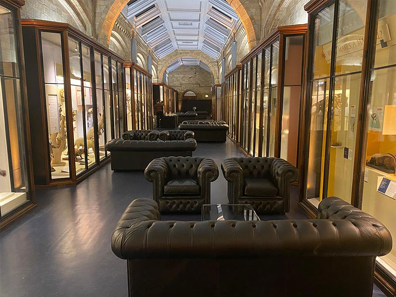 Museum gallery with illuminated glass display cases lining a vaulted corridor and dark leather sofas and armchairs arranged along the centre.