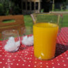 polycarbonate just and glasses