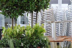 Outside furniture rental for summer events