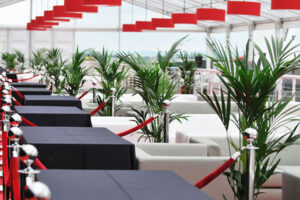 Kentia palm plants offer a luxury finish