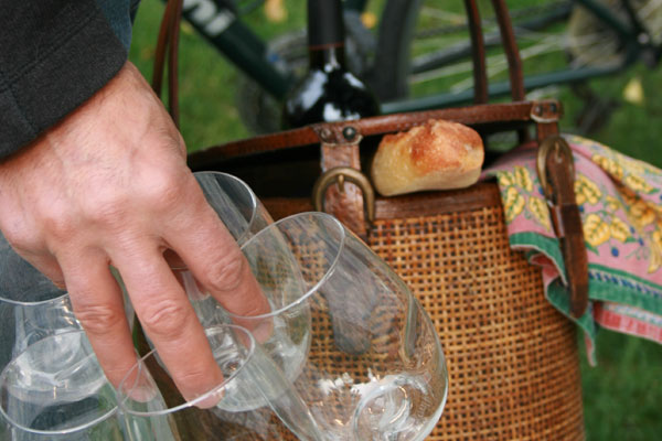 Reusable plastic wine glasses for outdoor events
