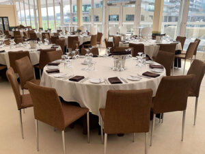 cheltenham festival