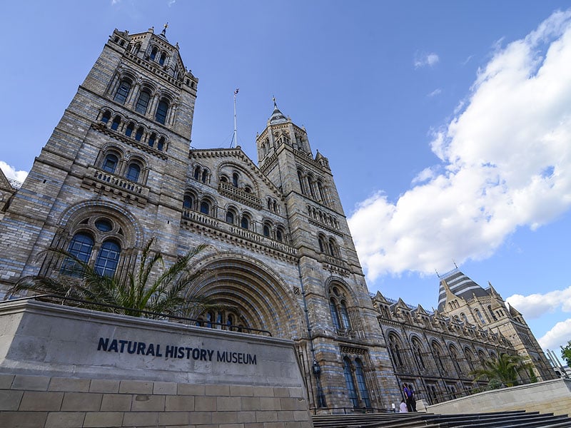 Hosting unforgettable events at the Natural History Museum London