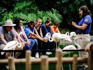 Event planning in unique spaces: Furniture hire for zoo events