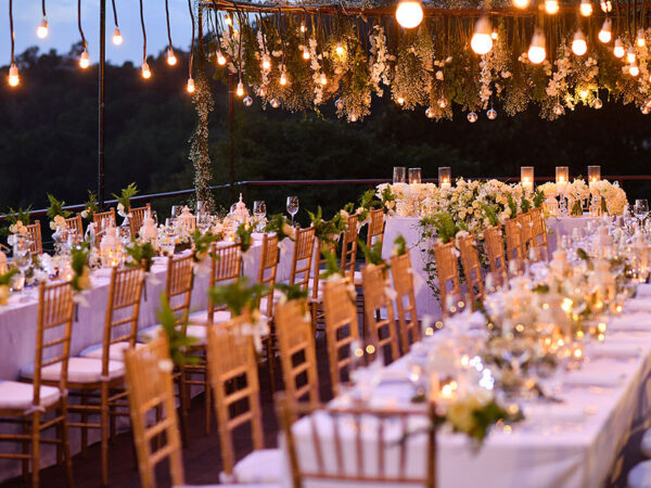 Premium chair hire: Elevate your dining experience with our exquisite ...